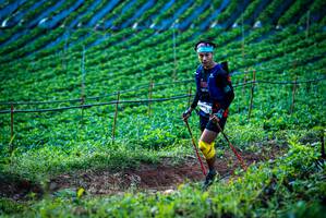 BIB: 
                            <button type="button" onclick="openModal(19160037)" class="btn btn-primary btn-sm float-right btn-popup" data-toggle="modal" data-target=".modal-high-quality">
                        <i class="fas fa-shopping-cart"></i> Add to Cart
                    </button>
                                            <button type="button" onclick="isThisMe(19160037, true)" class="btn btn-success btn-sm float-right btn-popup btn-isme hidden" data-toggle="tooltip" data-placement="bottom" title="นี่คือรูปของคุณใช่ไหม คลิกที่นี่เพื่อเอาเข้าอัลบั้ม">
                        <i class="fas fa-plus"></i> Add to album
                    </button>
                    <button type="button" onclick="isThisMe(19160037, false)" class="btn btn-warning btn-sm float-right btn-popup btn-isnotme hidden">
                        <i class="fas fa-ban"></i> Remove from album
                    </button>